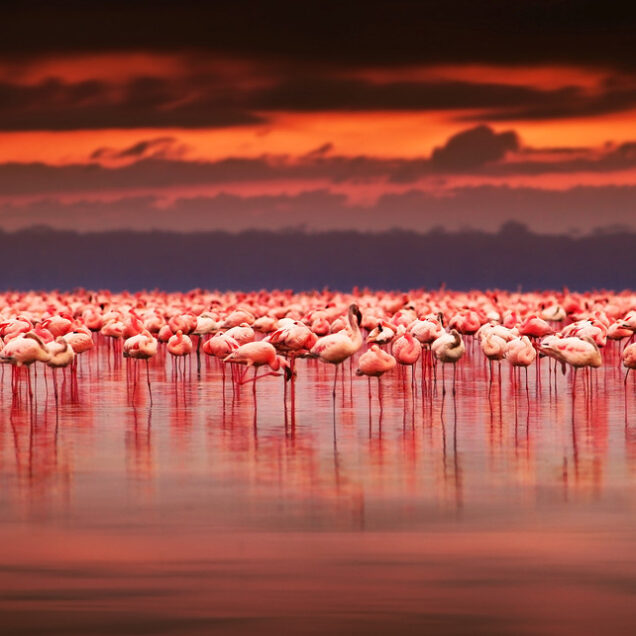 Kenya