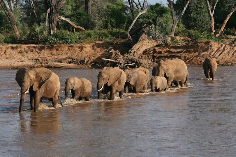 samburu_national_reserve-1