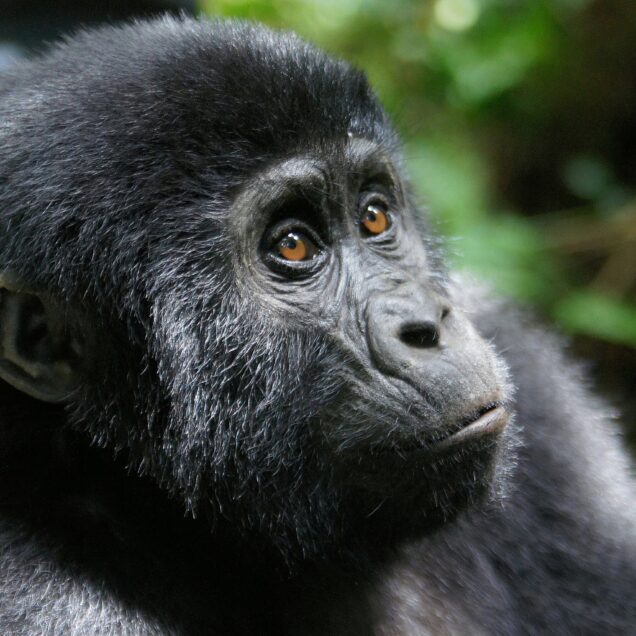 Rwanda